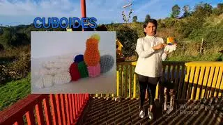 Maqueta del pie en amigurumi/trabajo de la universidad #aiepcastro, #podolog&iacute;a