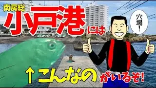 You can find something like this at Odo Port in Minami Boso!