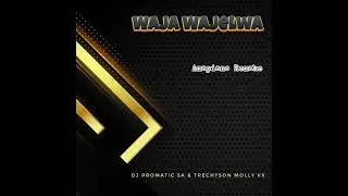 DJ Promatic SA & Trechyson Molly vx - Waja Wajelwa (Amapiano Remake)