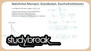 Natürliches Monopol, Grenzkosten, Durchschnittskosten | Finanzwissenschaft