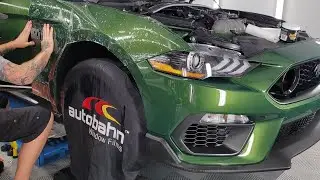 2022 Ford Mustang Mach 1 Eruption Green | Ceramic Window Tint, PPF, Ceramic Coating