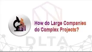How Do Large Companies Do Complex Projects?