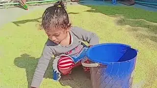 বুড়ী ধান শুকায় কাঠবিড়ালি ধান খায় @ShamimasDream-2026 