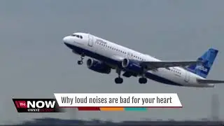 Ask Dr. Nandi: Why loud noises are bad for your heart
