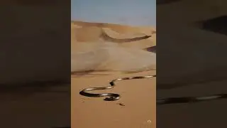 AI Shorts: Snake in a desert and wind behind it clearing its marks in the sand| Generated by AI