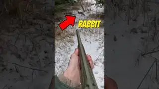 Worst RABBIT HUNTER Ever?