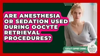 Are Anesthesia or Sedation Used During Oocyte Retrieval Procedures? | Fertility Support Channel