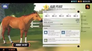 BREEDING THE PERFECT CROSSBRED STALLION - Aloe Peace | Rival Stars Horse Racing #rivalstars