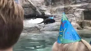 River Otter Birthday Party