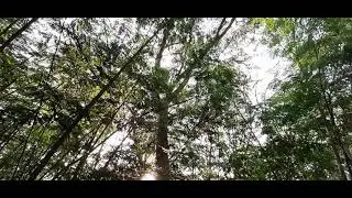 오s오a오t오o오r오i