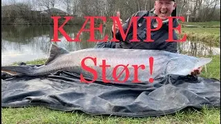 K&AElig;MPE st&oslash;r p&aring; fl&aring;d!