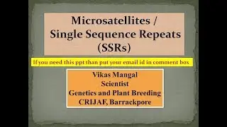 Microsatellites | Single Sequence Repeats (SSRs) Markers