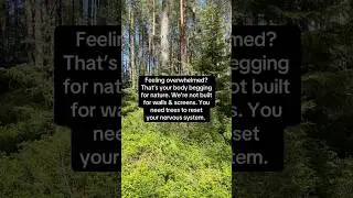 #naturetherapy #treetherapyisfreetherapy #treetherapy #streerelief