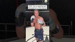 POV: You&rsquo;re sparring and they pull out the TKD stance