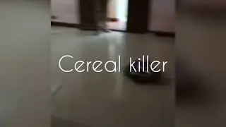 Cereal killer robo war 15kg wireless test video | indian combat