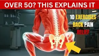 Over 50? 10 Easy Exercises to Relieve Back Pain Fast | Ageless Strength