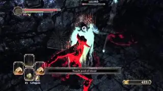 DARK SOULS&trade; II: Scholar of the First Sin Fisticuffs - Saltfort Invasion