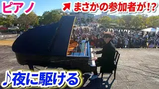 野外のピアノコンサートに飛んでた鳥まで参加してきた件【♪夜に駆ける/YOASOBI】