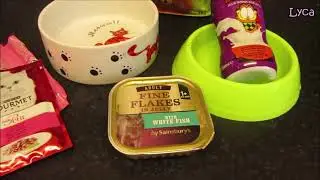 Heidi tries to muscle in on Biteys breakfast. 9