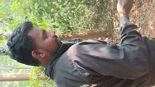 Coffee garden daringbadi 