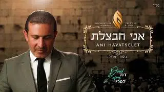 Shir Hashirim Perek 2 ~ שיר השירים נוסח מרוקו פרק ב׳ ~ David Lasry ~ דוד לסרי