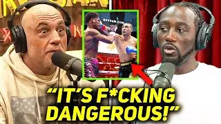 Joe Rogan & Terence Crawford BREAK DOWN Shakur Stevenson VS Teofimo Lopez FIGHT!