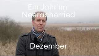 Dezember im Neeracherried: Lösungen für die Biodiversität