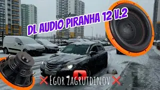 DL Audio Piranha 12 V.2, 2ая жизнь старенького сабвуфера