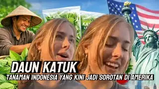 Daun Katuk Mendadak Viral di Amerika, Padahal di Indonesia Cuma Tumbuh di Pekarangan