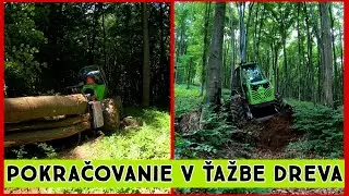 Ťažba dreva s Orvex LT 100,Zetor Proxima, Working in forest 🇸🇰