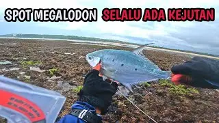 ‼️SPOT MEGALODON YANG SELALU ADA KEJUTAN‼️MANCING PINGGIRAN BALI