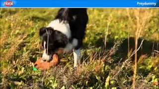 Trixie Prey Dummy - Teaching your dog hunting instinct