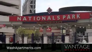 Washington Apartments - The Highlights of Your New Home