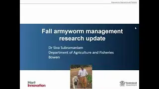 Fall armyworm management in vegetable crops