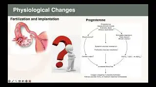 Part 3: Principles of Anesthesia for Cesarean Section