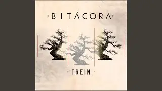 Bitácora