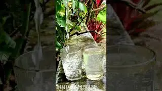 Salt water💧vs ujala simple science expiriment #shorts #experiment #m4tech