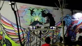 Time laps video elephant graffiti