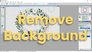 Remove Background Photoshop 2024
