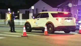 Fatal Vehicle-Pedestrian Collision in Reseda Claims One Life - Corbin and Victory 