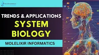 System Biology and Its Applications in Biotechnology Sector| The Power of Systems Biology