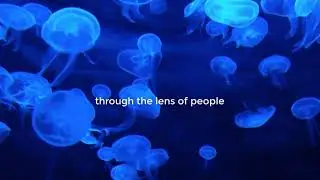 Everyday systems | DisruptionTalk