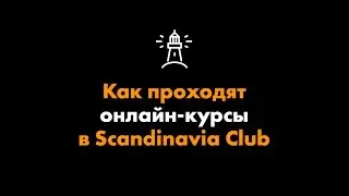 Как проходят онлайн-курсы в Scandinavia Club?