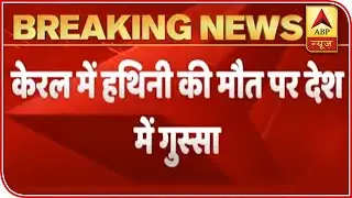 Outrage Over Kerala Elephant's Killing; Kohli Calls The Act 'Cowardly' | ABP News