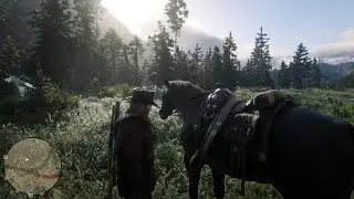 Red Dead Redemption 2 PS5 4K 60FPS - Domando corcel negro