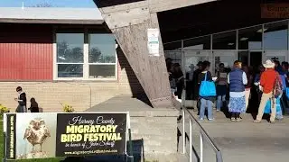 Malheur bird festival tours selling out