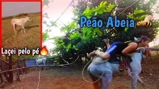 Tomei uma queda🐝🔥 pegando &eacute;guas  chucras no pasto🍃🤠