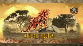 African Impulse EDM  : ( Phase Break Phase ) music