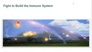 Steps to Build Children's Health & Immunity