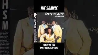 Facts of Life vs The Chop #shorts #sampledbeats #samplechop